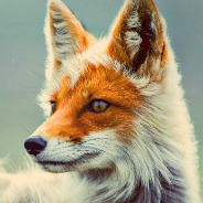 FuryOpal