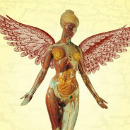 Divine Zephyr