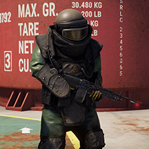 *Cyber Guardian